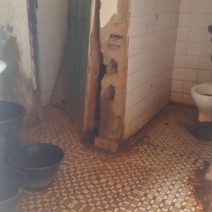 Old Toilet